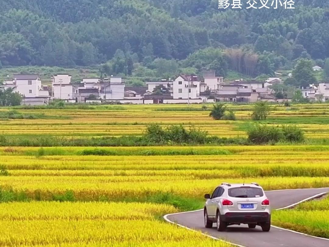 【黄山四时ⷤ𛲧狣€‘来徽州赏秋吧!来源:马哲(市新媒体联盟成员)哔哩哔哩bilibili