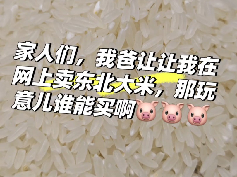 家人们,我爸让我在网上卖东北大米,那玩意儿谁能买啊.哔哩哔哩bilibili