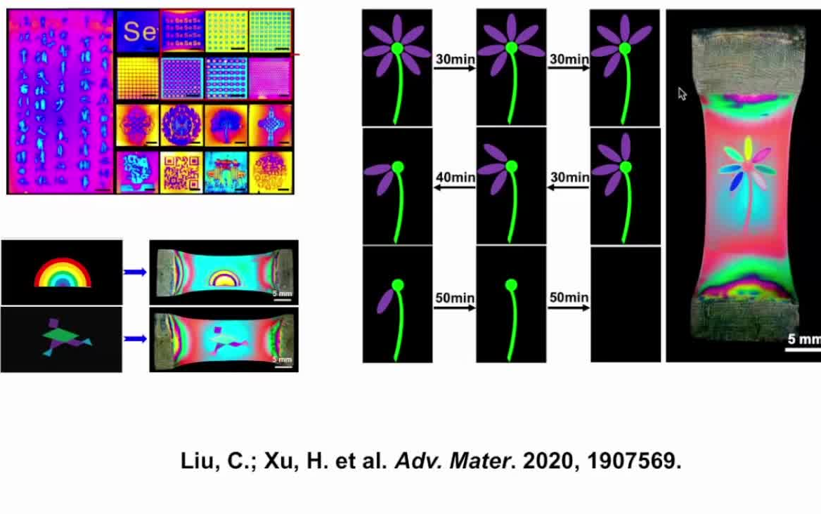 20220528清华大学许华平动态响应性含硒/碲高分子哔哩哔哩bilibili