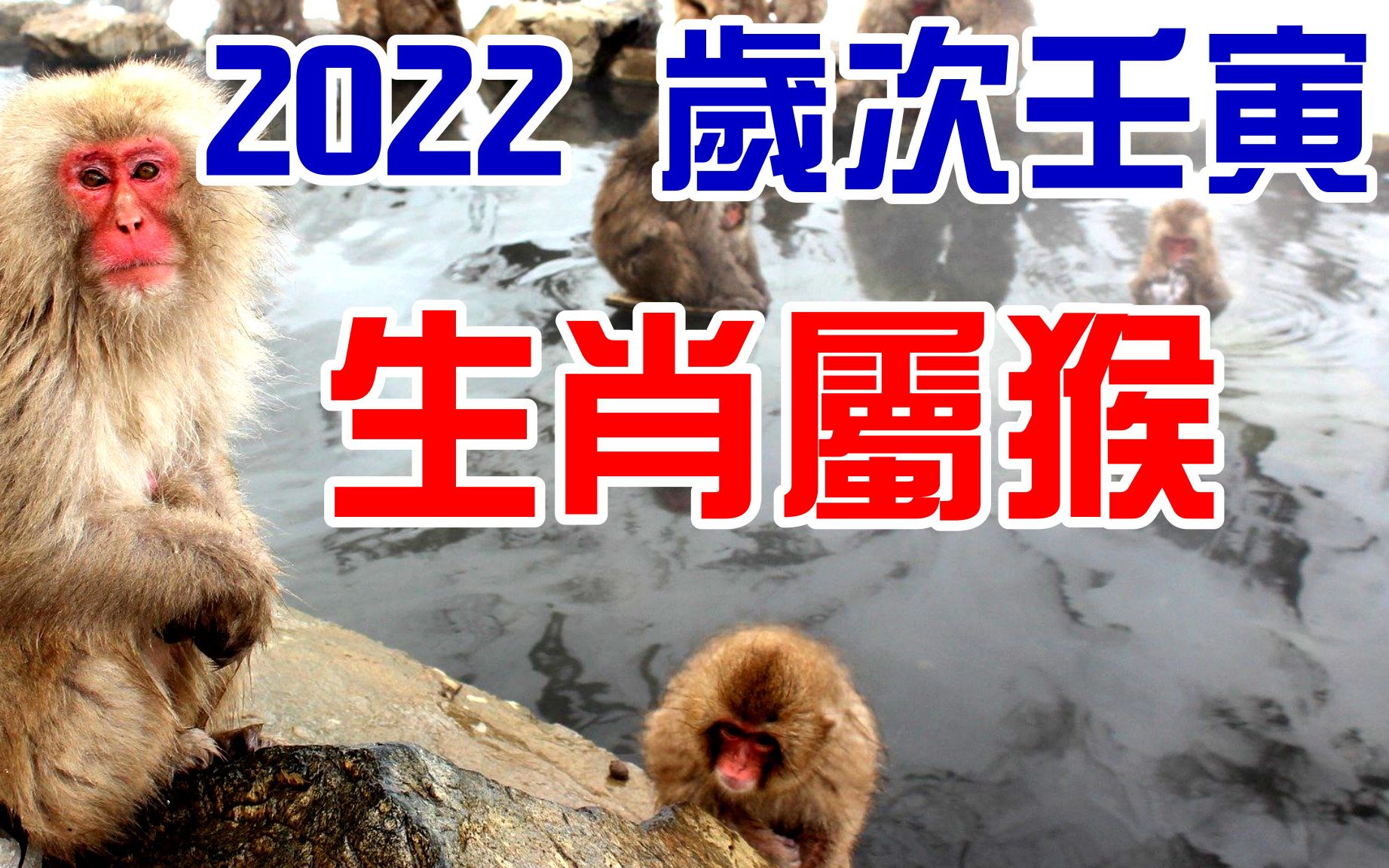 2022年生肖属猴岁次壬寅哔哩哔哩bilibili