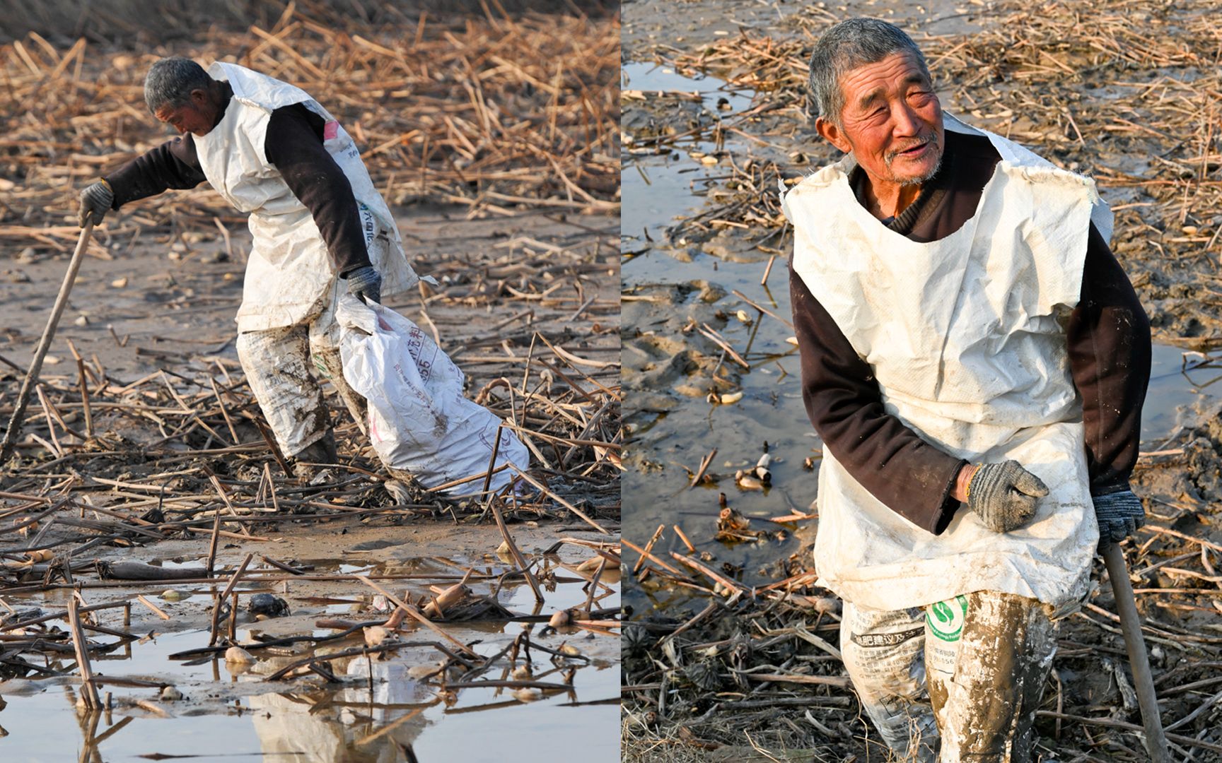 82岁大爷穿化肥袋衣服捡莲菜,对自己的健康很满意:天天都吃肉