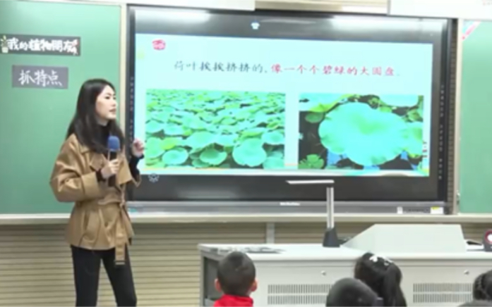 《我的植物朋友》习作(课件教案)哔哩哔哩bilibili