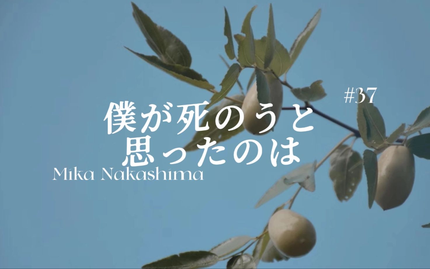 [图]【动态歌词排版】僕が死のうと思ったのは | 净考虑着死的事 一定是因为太过认真地活 | 也许适合治愈向