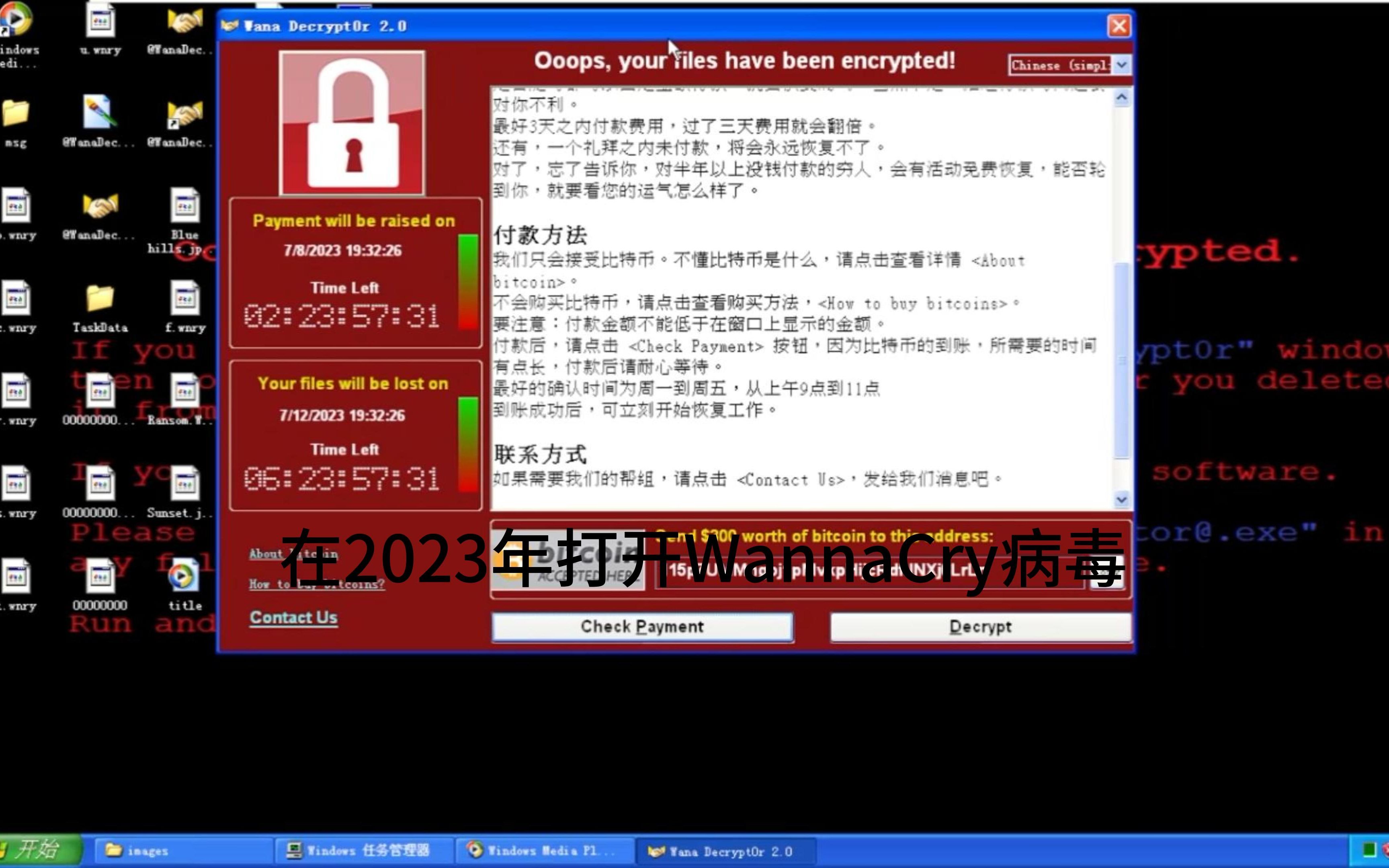在2023年打开WannaCry病毒哔哩哔哩bilibili