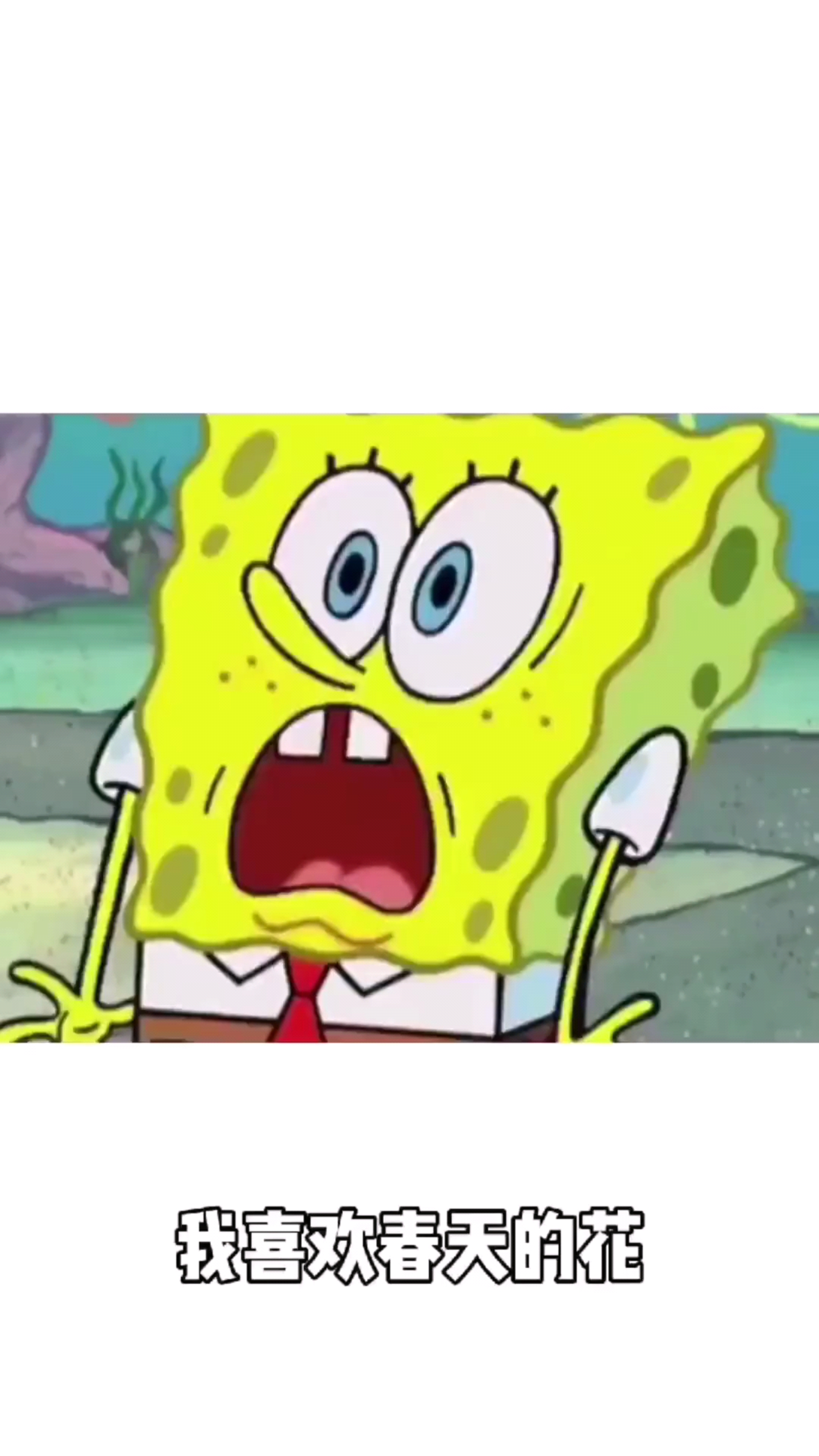 希望我以后看到大家都像今天一样