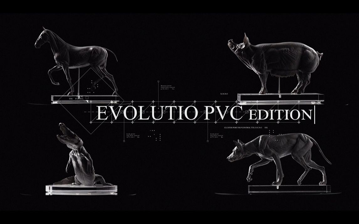 【VM馆藏】EvolutioPVC ‖ 科教模型/动物肌肉解剖/马/猪/鳄/狼哔哩哔哩bilibili