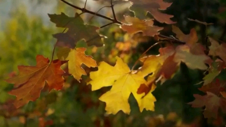 [图]管理好情绪，可以知道人生理想