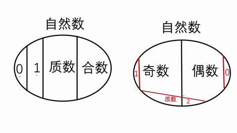 质数与合数概念整合 哔哩哔哩