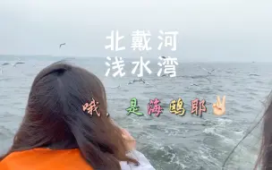 下载视频: 北戴河·浅水湾·喂海鸥