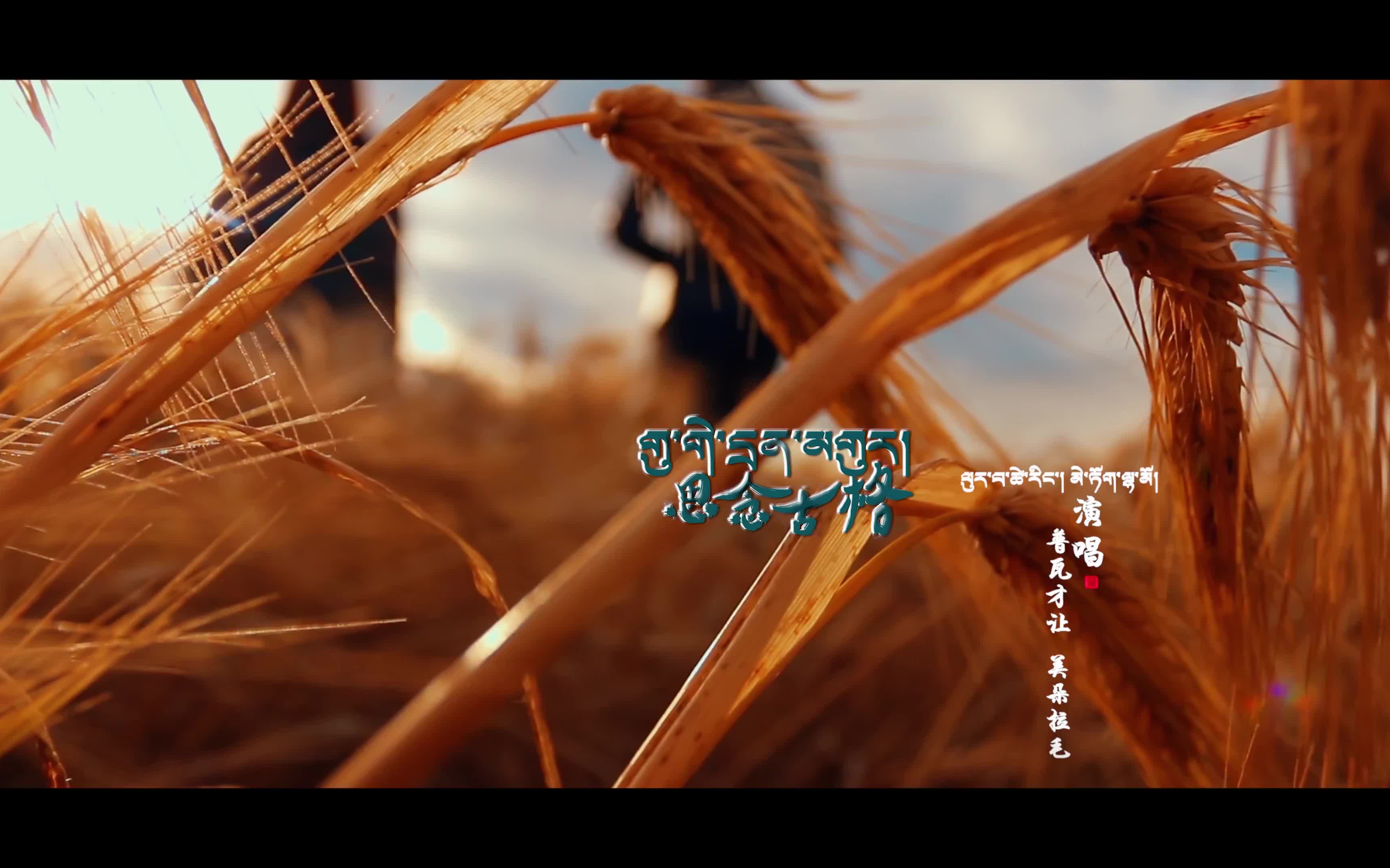 【思念古格】美朵拉毛 普瓦才让