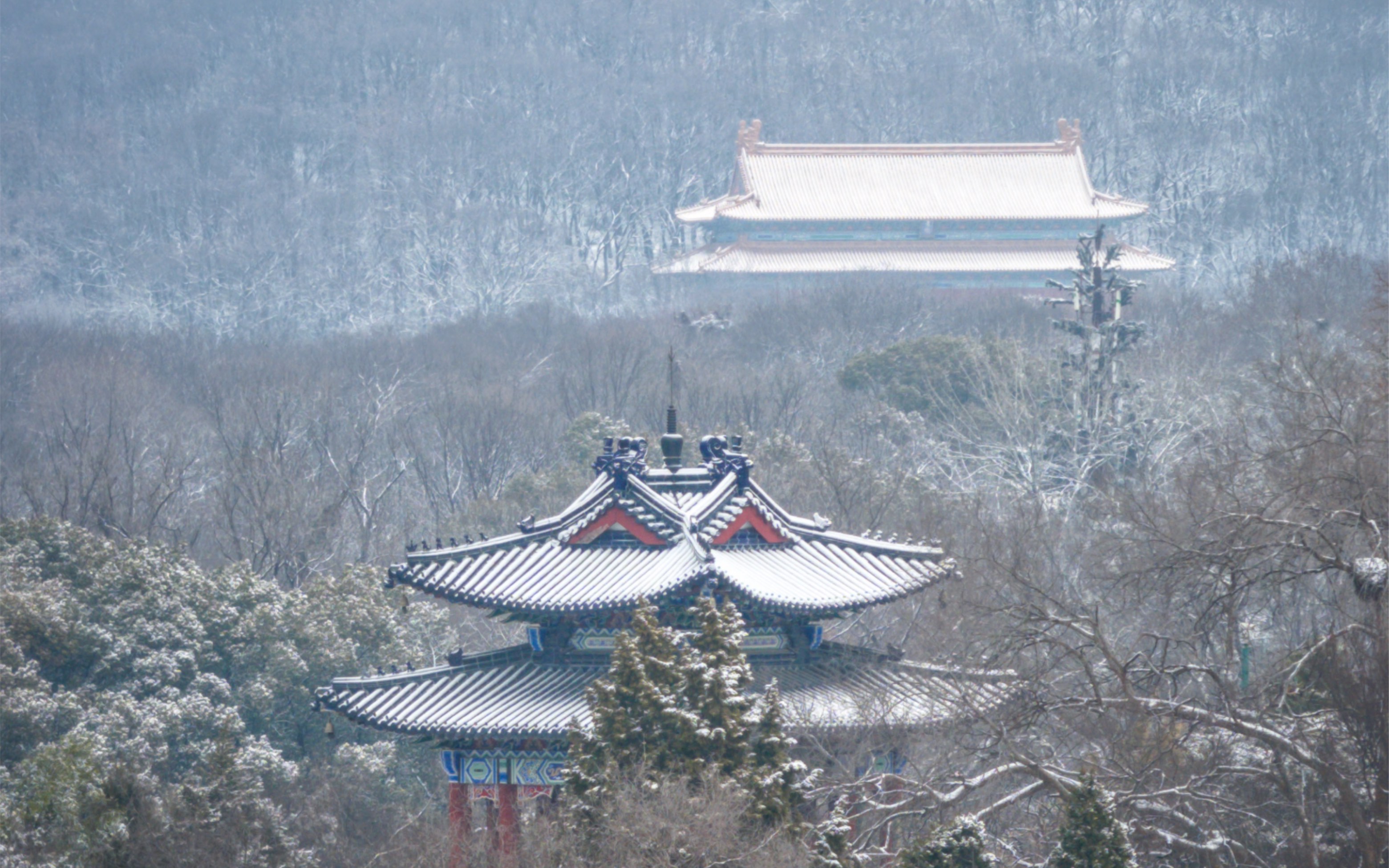 首雪.2024航拍金陵梅花山