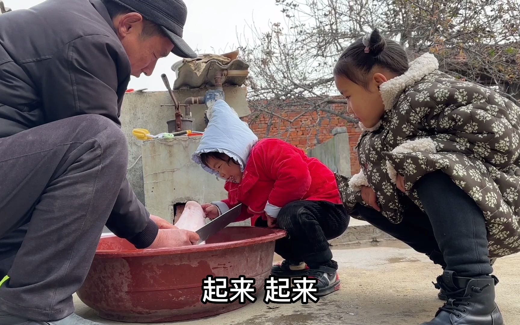 花175买个大猪头,2岁宝宝看见猪头可激动,公公说吃猪脑子会变笨哔哩哔哩bilibili