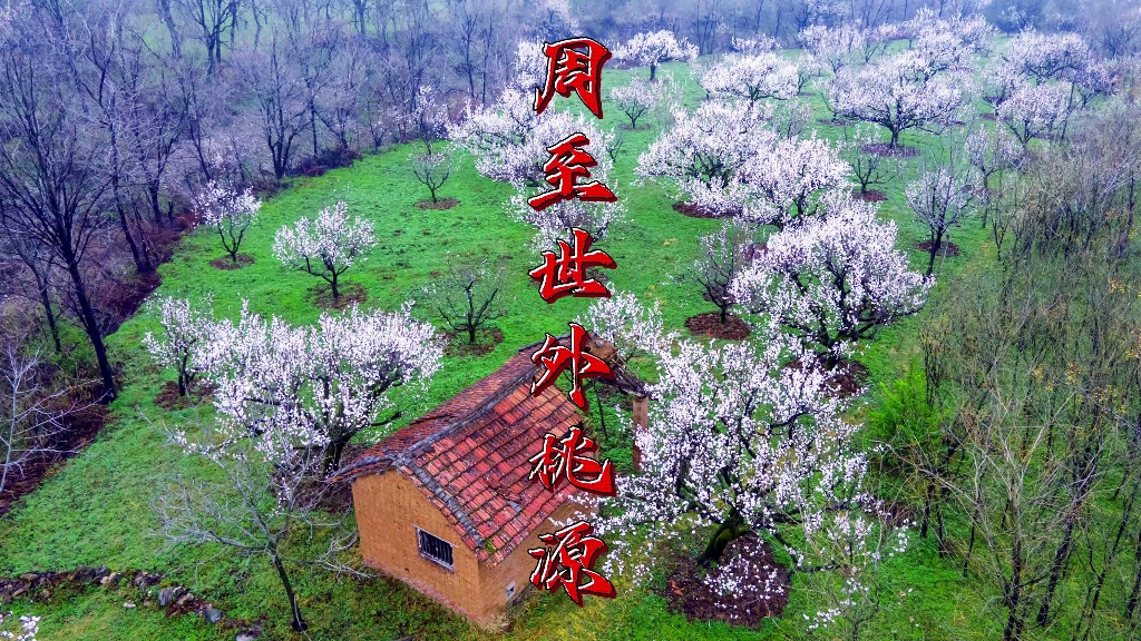 活动作品周至翠峰青山遗址一个被人遗忘的世外桃源