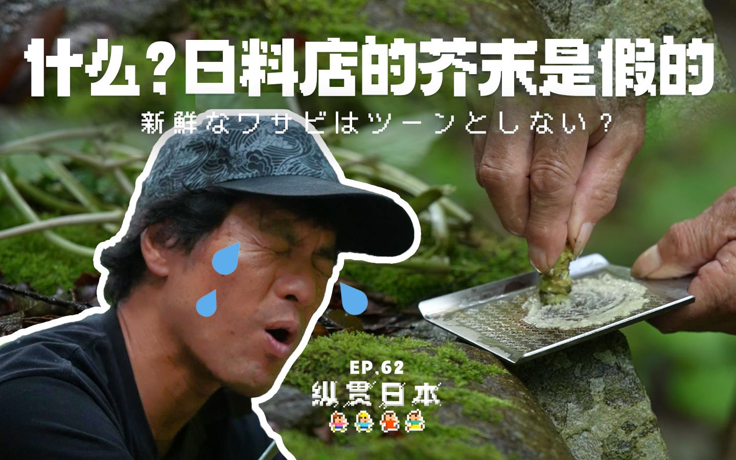 日料店的芥末都是人工合成?真正的wasabi其实是甜的!【纵贯日本 62】哔哩哔哩bilibili