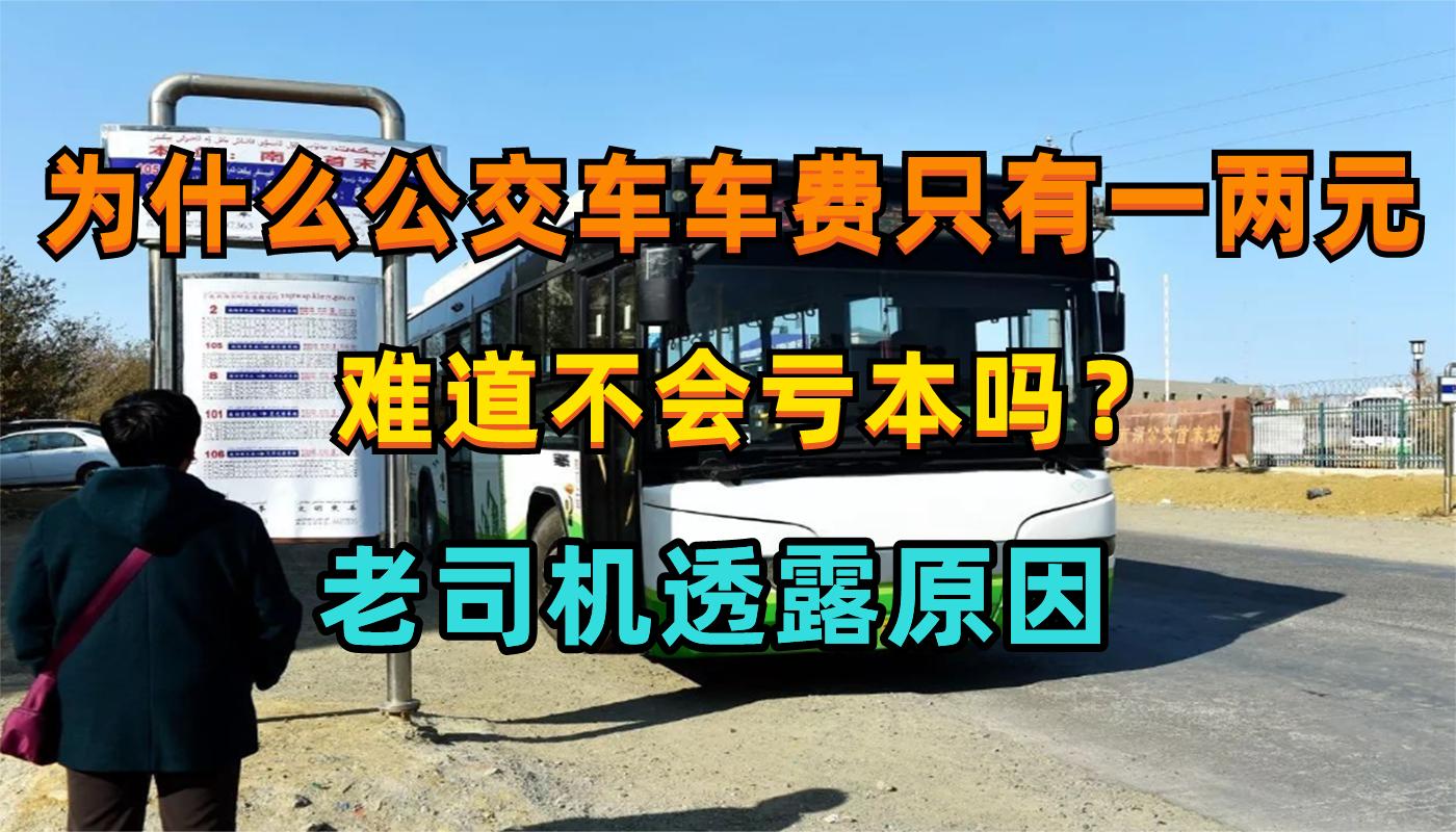 为什么公交车车费只有一两元?难道不会亏本吗?老司机透露原因哔哩哔哩bilibili