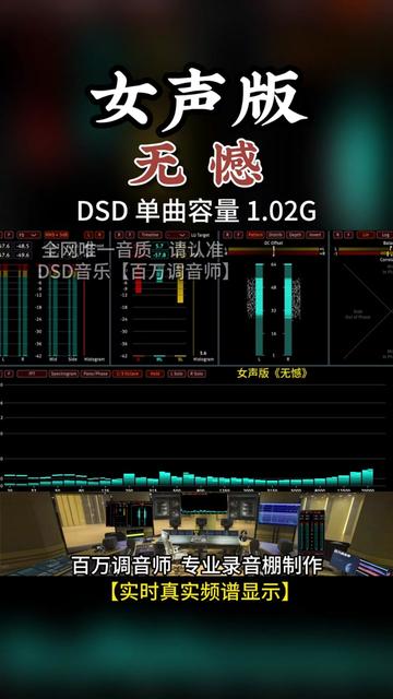 网络热歌,粤语经典,女声版《无憾》DSD完整版 1.02G,百万调音师专业录音棚制作,顶级hifi无损音质哔哩哔哩bilibili