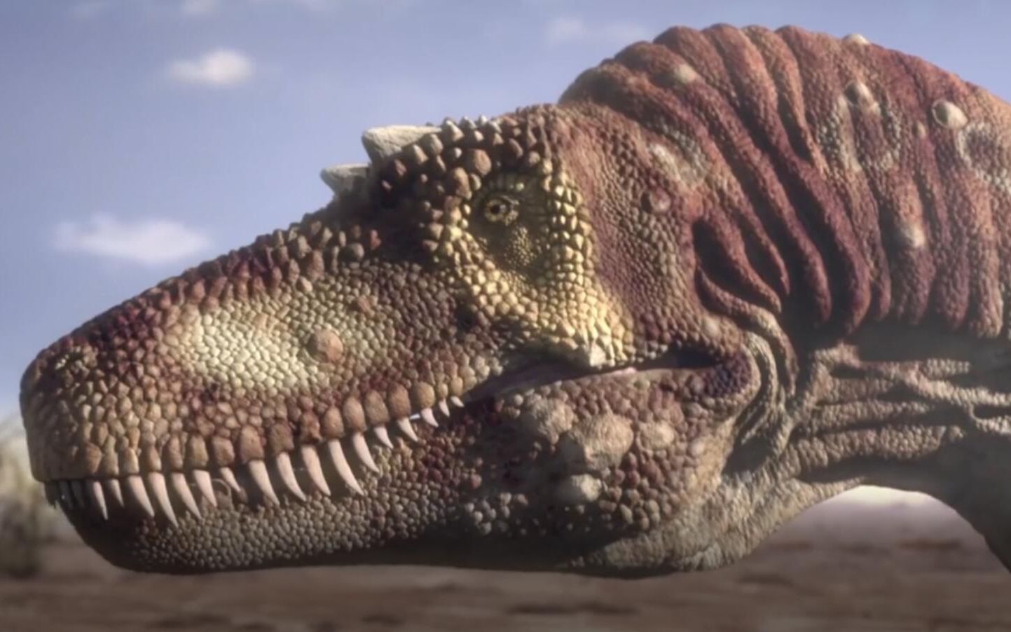 恐龙至今没有灭绝恐龙灭绝之谜大揭秘鸟竟是恐龙的后裔