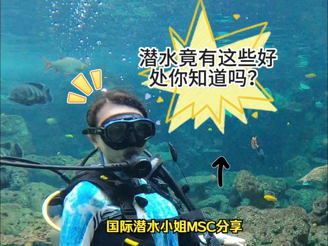 你知道水下的世界吗?跟潜水小姐来看看吧!哔哩哔哩bilibili