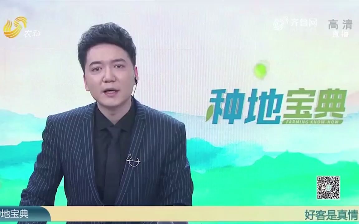 了不起!这个合作社一年收入高达6000万,是咋做到的?农资超市哔哩哔哩bilibili