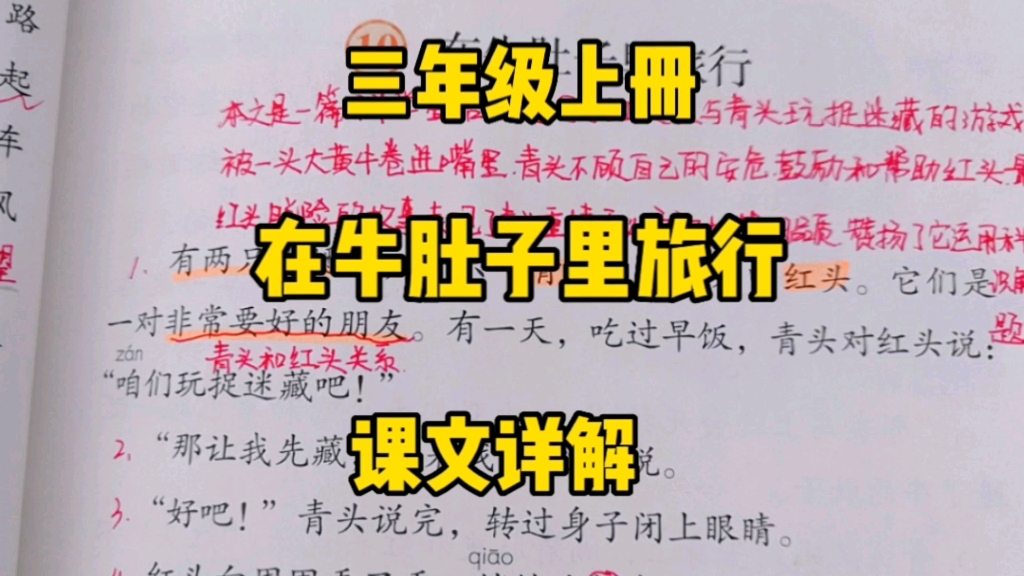 [图]三年级语文上册：《在牛肚子里旅行》课文详解，一起来探究一下这场旅行的奇妙之处吧！