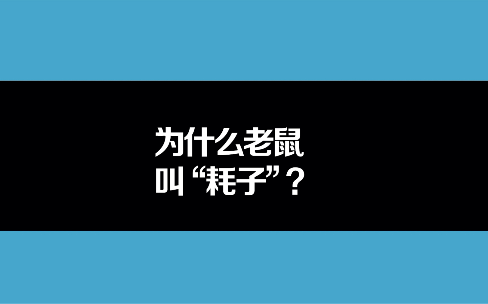 老鼠为什么叫耗子?哔哩哔哩bilibili