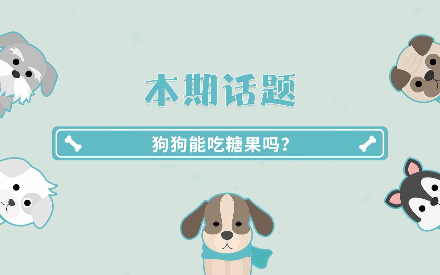 狗狗能吃糖果吗?哔哩哔哩bilibili