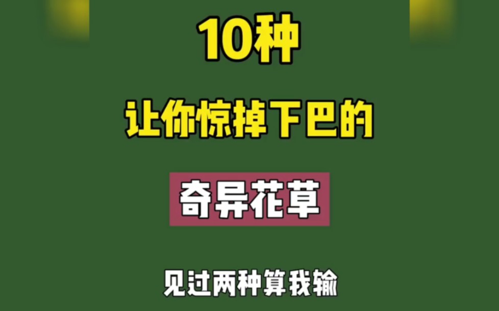 十种让你惊掉下巴的奇花异草,你家种了吗?哔哩哔哩bilibili