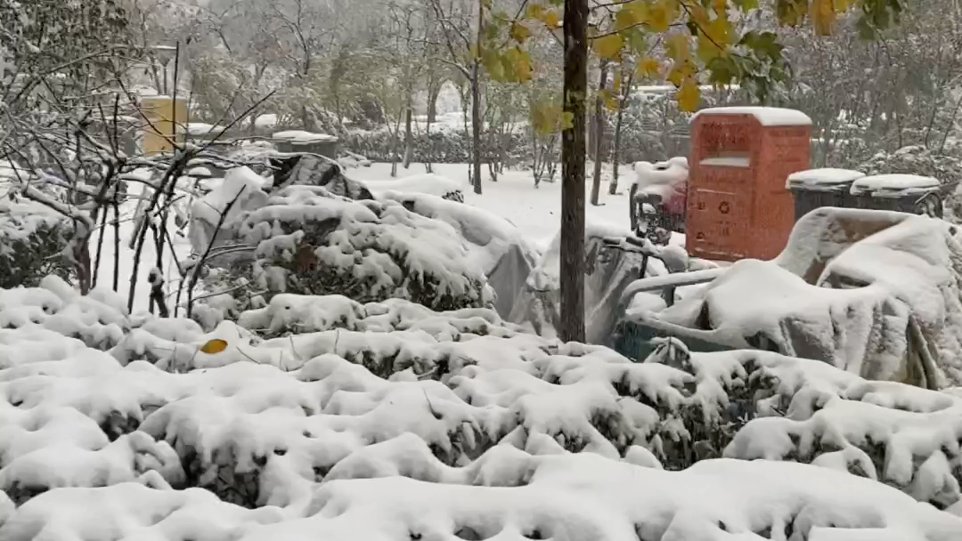 [图]济南的冬天第一场雪，南方的同胞羡慕不