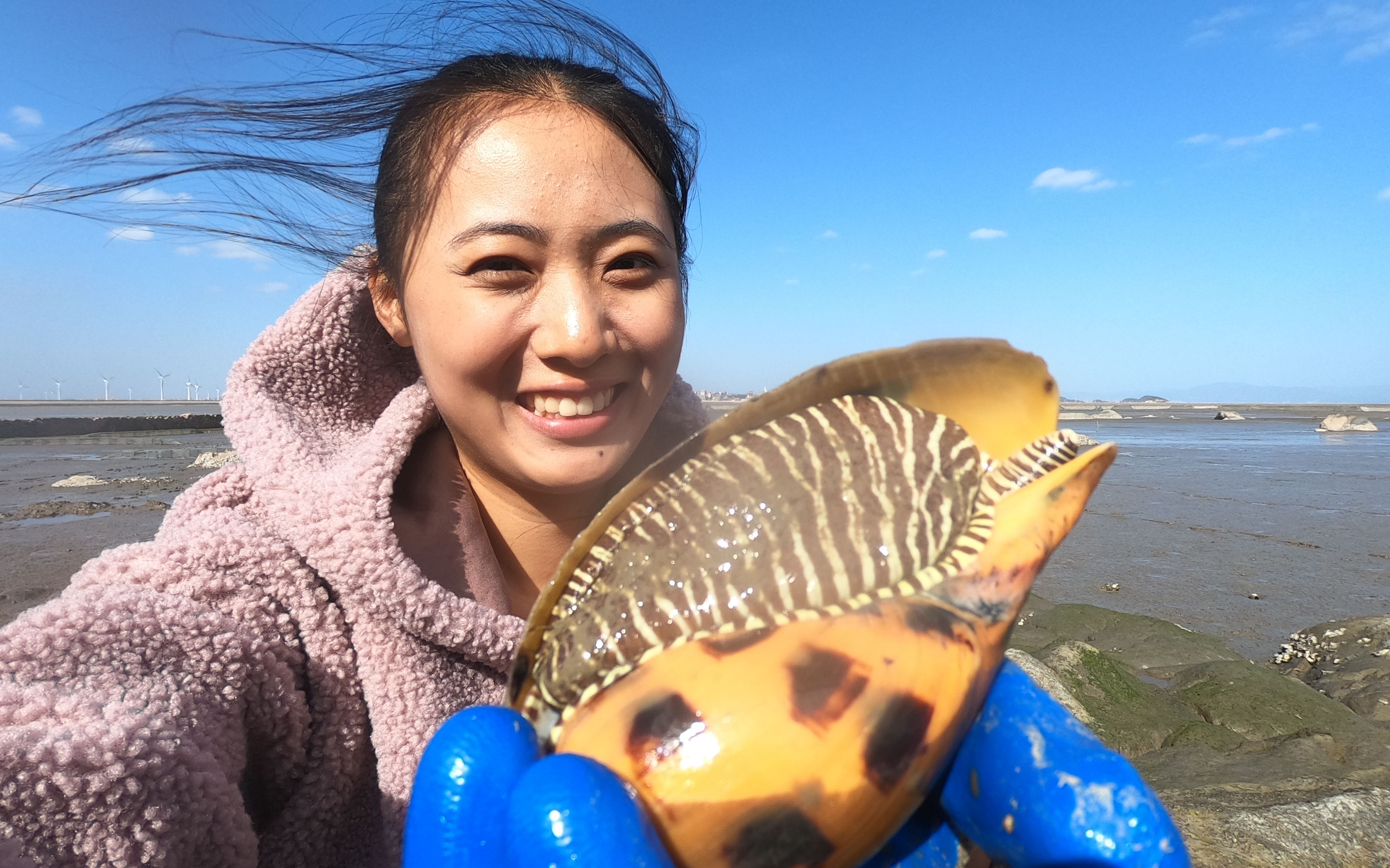 渔妹赶海遇见椰子螺,带回家取肉也有巧办法,做成菜