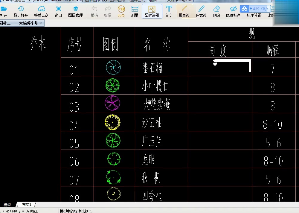 韩力教育园林景观工程造价预算小叶榄仁清单列项及定额套取哔哩哔哩bilibili