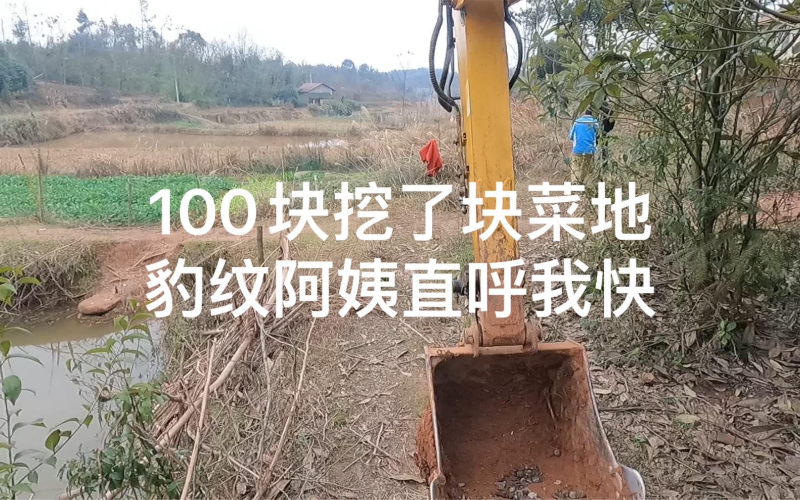 100块挖了块菜地,阿姨直呼我干的好干的快.不愧是出了名的快.哔哩哔哩bilibili