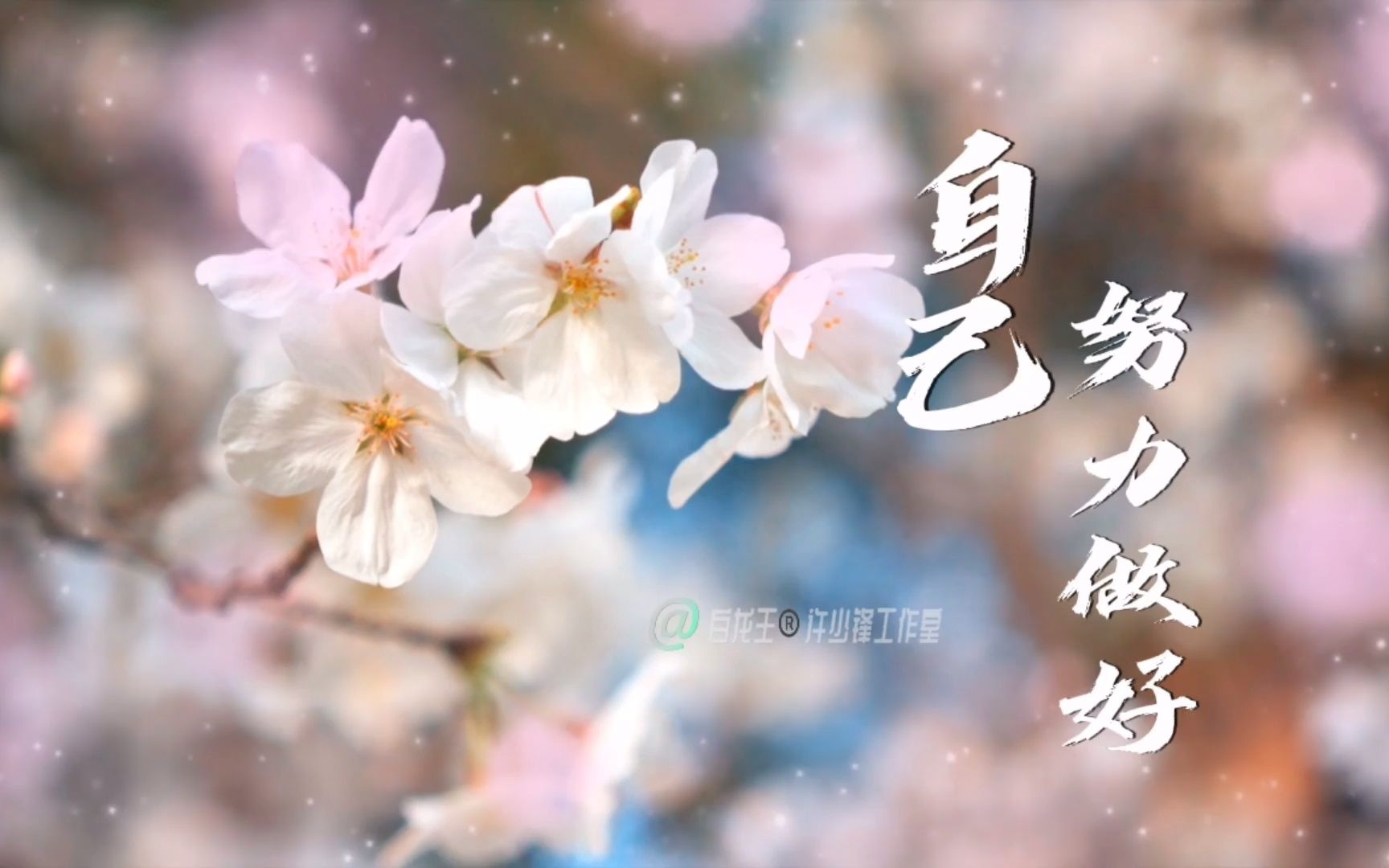 什么都不做只做好自己,珍惜眼前人