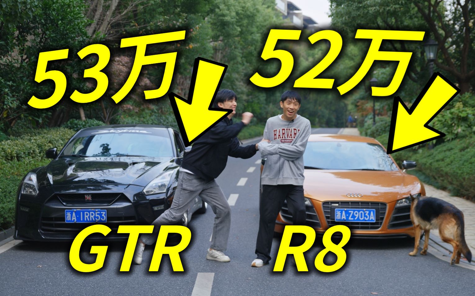 [图]50万！我搞到了儿时梦想的R8和GTR！