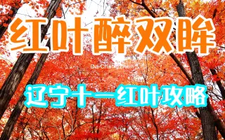 红叶醉 搜索结果 哔哩哔哩 Bilibili