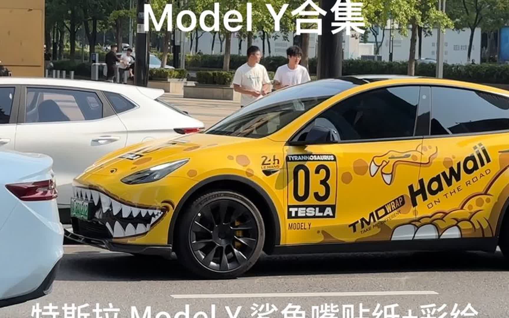 [图]特斯拉Model Y合集，看看哪一款更入你的眼，