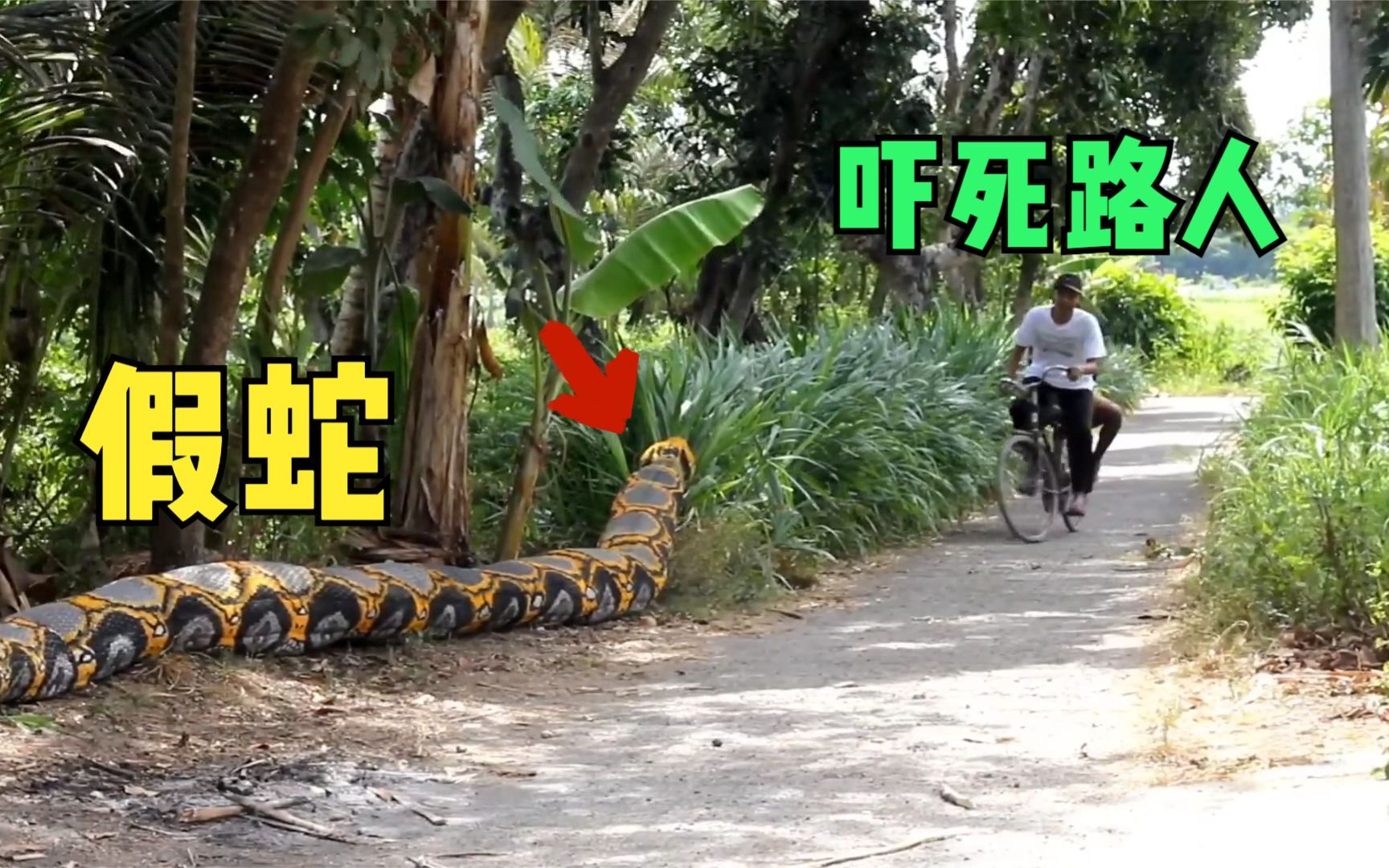 用巨大的假蟒蛇恶搞路人,简直是太刺激了!