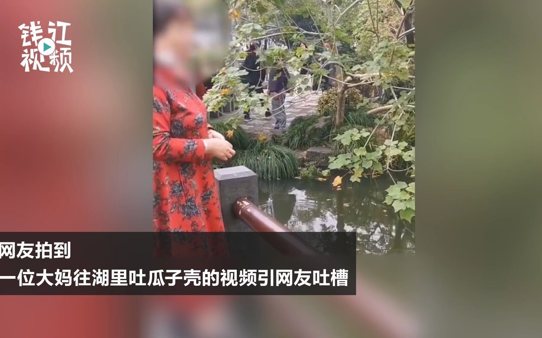 大妈边嗑瓜子边把壳往西湖里吐 网友建议列入景区黑名单哔哩哔哩bilibili