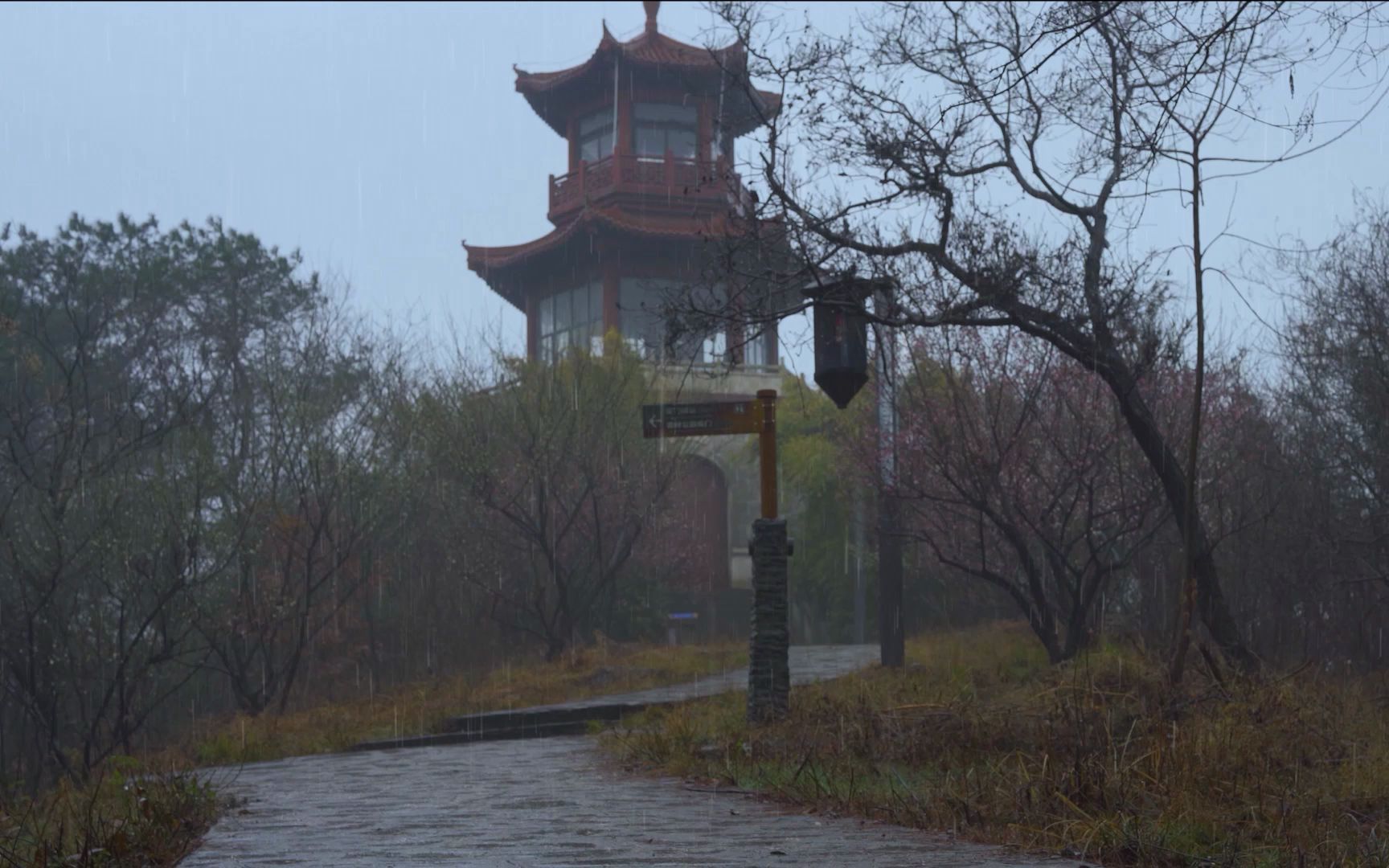 【白噪音,雨声】山顶迷雾里的秋雨,助眠雨声,学习,工作(￣┰￣)哔哩哔哩bilibili