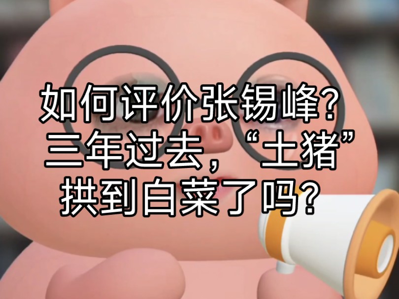 如何评价张锡峰?“土猪”拱到白菜了吗?3年过后,考入浙江大学的张锡峰在迷茫什么?聊一聊张锡峰的采访视频|大学生是这样的哔哩哔哩bilibili