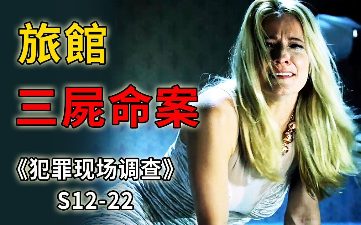 [图]两男一女惨死小旅馆，警匪一家亲，黑白心连心《CSI》S12-22