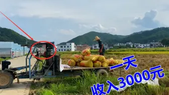 大叔不顾家人反对，花11万买了一台高科技，没想到一天收入3000元
