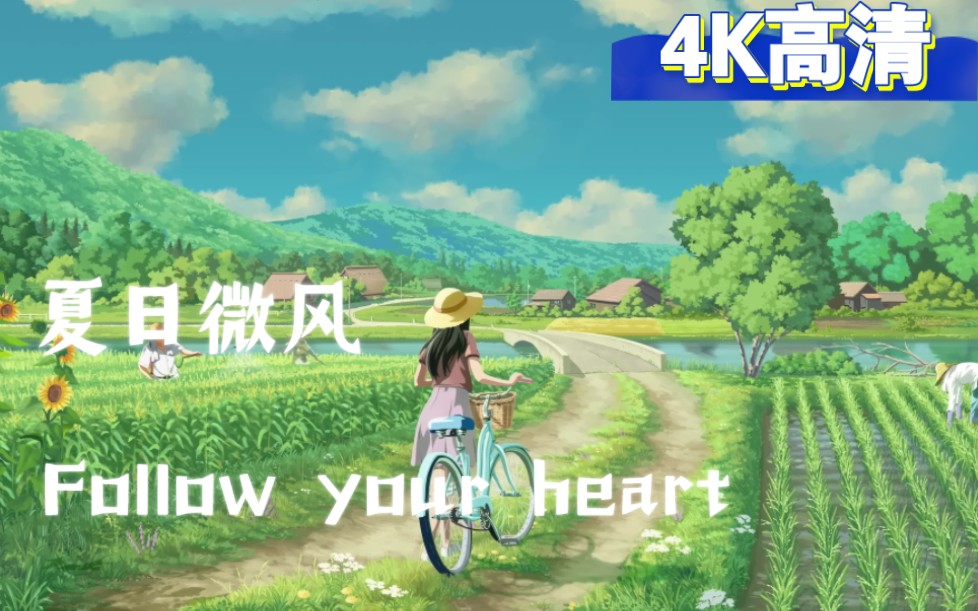 夏日微风,Follow your heart 4K高清桌面动态视频壁纸哔哩哔哩bilibili