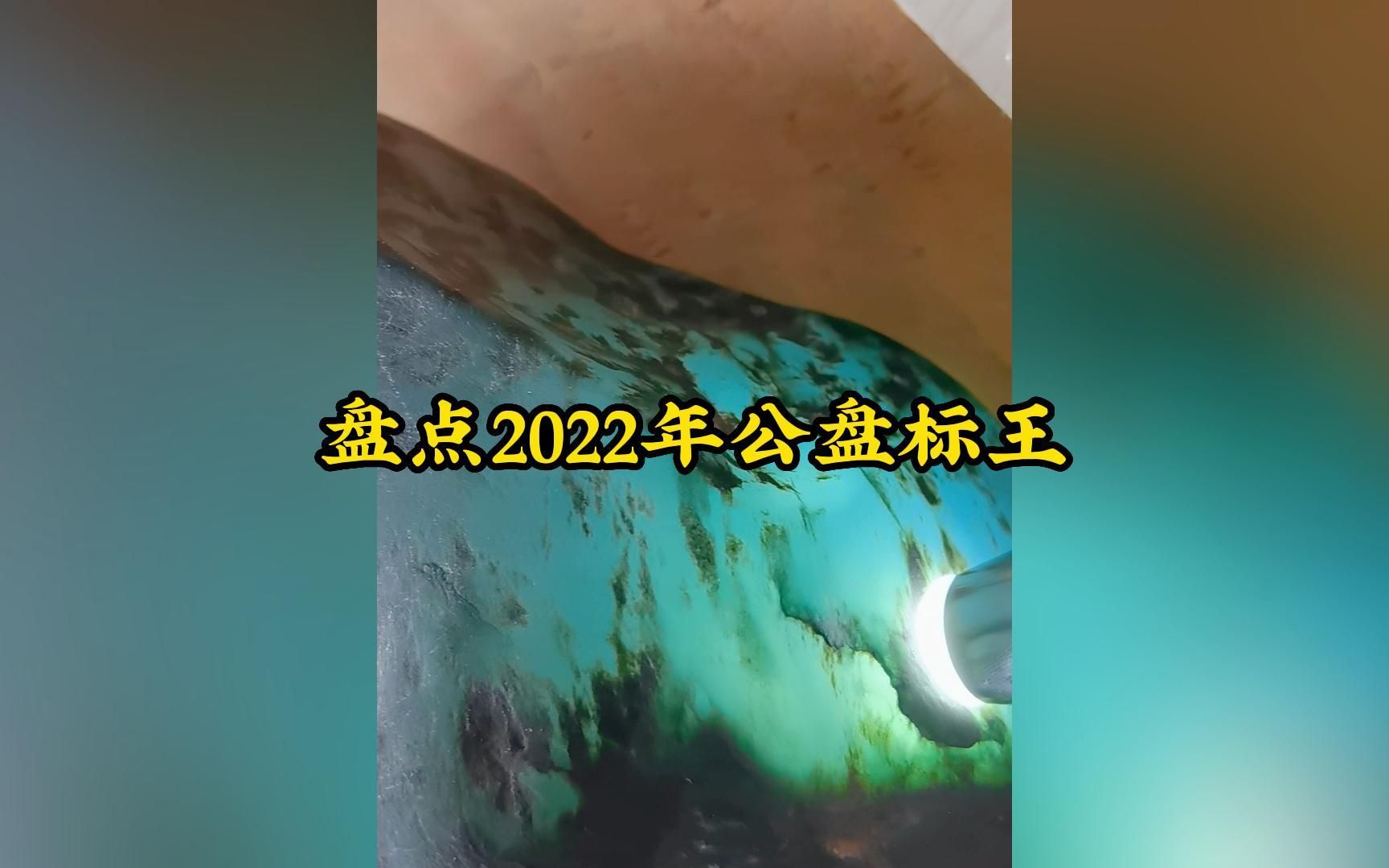 盘点2022年公盘标王,猜猜开标价哔哩哔哩bilibili