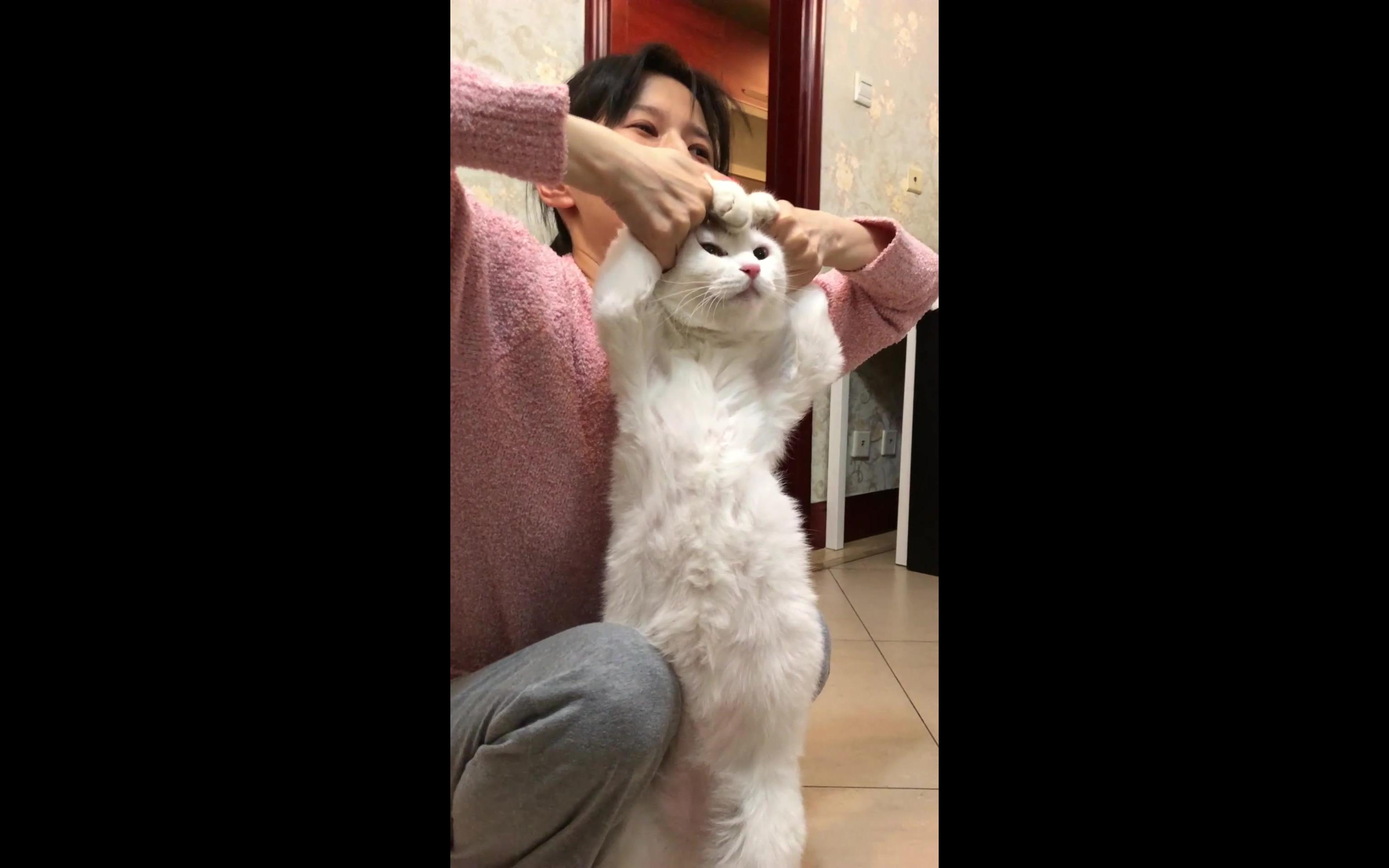 papi酱的大小咪:送两颗刚比好的心给大家