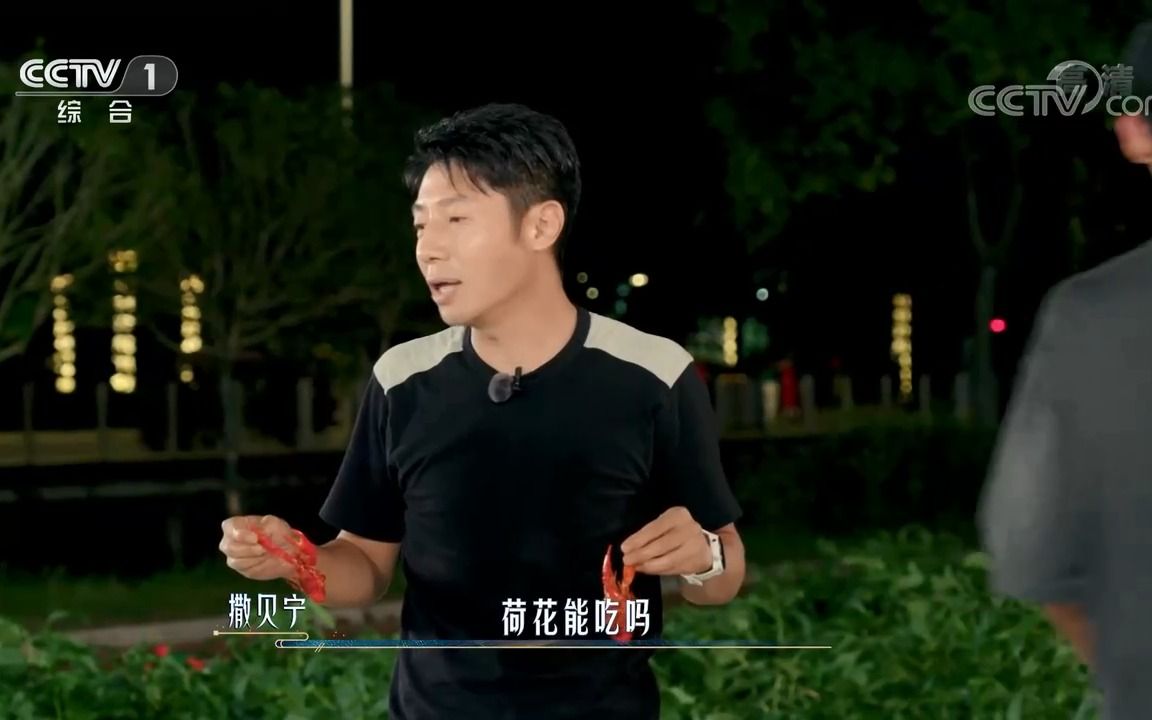 [图][山水间的家]撒贝宁和王嘉宁互相分享莫岭村和怀洪村的独特之处