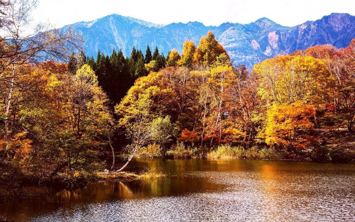 【超清日本】長野県99秋山郷 的秋天 nagano,akiyamago in autumn