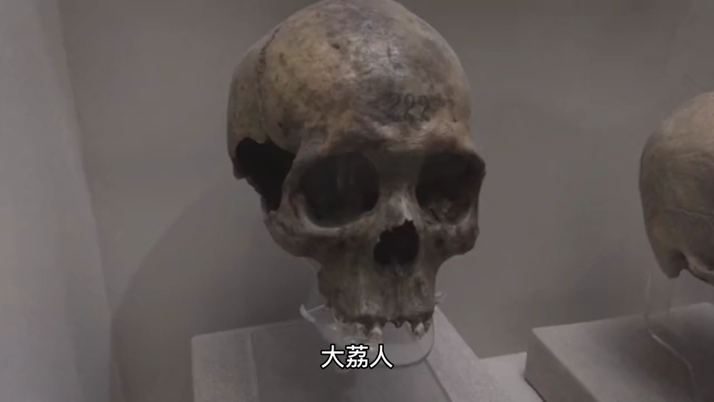 中国通史之史前时代(7)大荔人