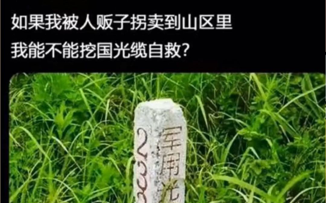 那些网络上的爆笑段子梗图486哔哩哔哩bilibili