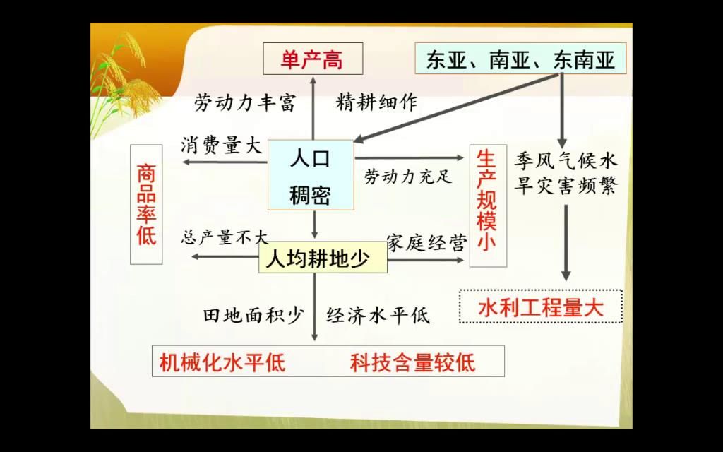 水稻种植业、农业地域类型、含义、习性、分布、区位条件、特点、发展方向、畜牧业、乳畜业、地理环境、农业生产(6.5分)哔哩哔哩bilibili