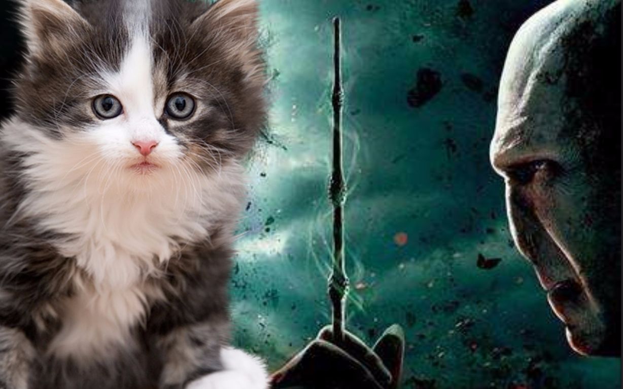 在《哈利波特》中给伏地魔加上猫叫